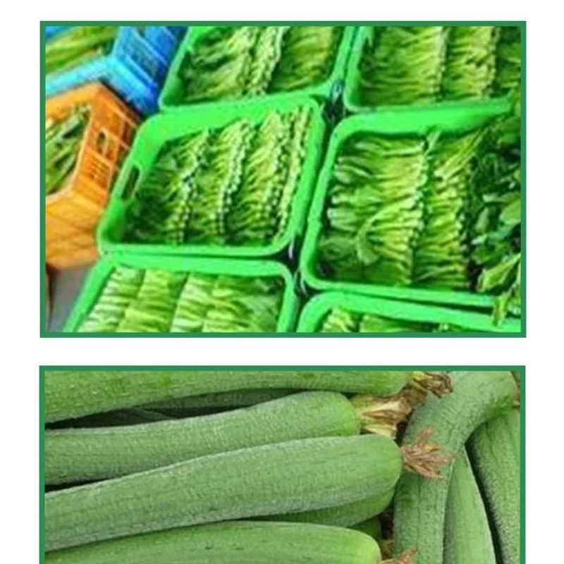 礼品批发行业的最新趋势:解锁商业新机遇